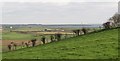 View southeastwards towards the coast from the Ballylucas Road