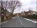 Ivy Road - Ashfield Road