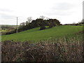 Earthworks south of the Glen Road