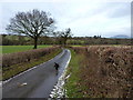 The lane from Rowley Farm towards Harley