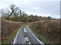 Down the lane to the bridge over the Harley Brook