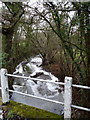 The Harley Brook - upstream of the bridge