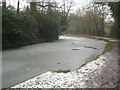 Frozen Basingstoke canal