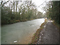 Basingstoke canal near Crookham village