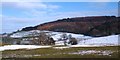 View to Branket Wood