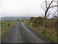 Muddy lane, Beltany