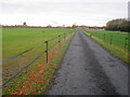 Farm track at Kelham