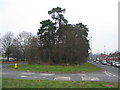 Central reservation, Allesley Old Road