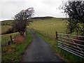 The gated lane between Old Goginan and Banc-y-darren