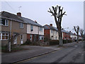 SU1487 : Houses and trees, Limes Avenue, Pinehurst by Vieve Forward