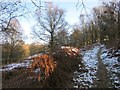 Footpath up Hackpen Hill