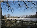 Snowy field on Hackpen Hill