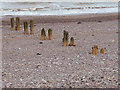 Blue Anchor - Groyne