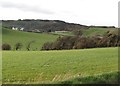 Drumlins between Orchard Road and Ballylucas Road