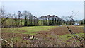 View over a hedge