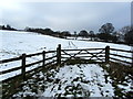 Rural Scene from Bleach Mill Lane