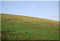 Farmland west of Litton Cheney