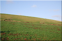 SY5490 : Farmland west of Litton Cheney by N Chadwick