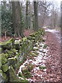 Path in Greno Woods