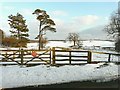 East-southeast view from Little Shuttlesfield