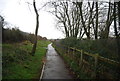 National Cycleway 2 by Pymore Rd