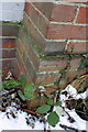 Benchmark on chimney breast of Zulu Farmhouse