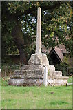 SO9645 : Cross at Wick by Philip Halling