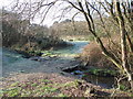 Stream On Parley Common