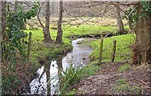 SZ2694 : Stream at Lower Ashley by Mike Smith