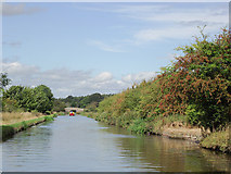 SJ8120 : Shropshire Union Canal near Gnosall Heath, Staffordshire by Roger  D Kidd
