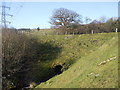 Culvert taking the  Nant yr Hafod under the road