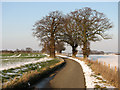 Church Lane, Washbrook