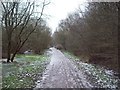 Sett Valley Trail Winter Scene