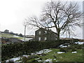 On the Edge of Burley Moor