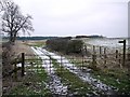 Footpath to Stamfordham from Dark Lane