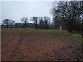 Playing fields next Pollok Park