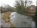 Basingstoke Canal by Reading Road Bridge