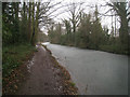 Basingstoke Canal - Fleet