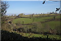 Valley side near Upcott Mill