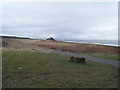 Mersey Way looking towards boat house