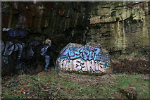 SD6740 : Art ? disused quarry wall, Longridge Fell by Peter Bond