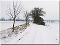 TL7345 : Footpath In The Snow by Keith Evans