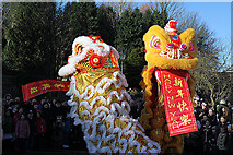 NT4936 : The Lion Dance in Galashiels by Walter Baxter