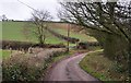 Mid Devon : Country Road