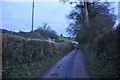 ST0420 : Mid Devon : Country Road by Lewis Clarke