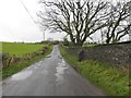 H2162 : Road at Kiltierny by Kenneth  Allen