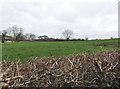 Farmland north of the Glenvale Road