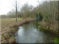 Moor Crichel, River Allen