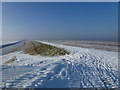 TF4034 : The Wash coast in winter - Snow on the sea bank and frost on the marsh by Richard Humphrey