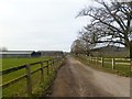 Witchampton, farm entrance